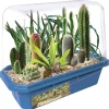 Desert Hothouse
