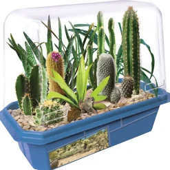 Desert Hothouse