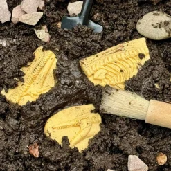 Dig & Discover Dinosaur Tactile Skeletons Set of 6