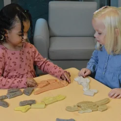 Dig & Discover Dinosaur Tactile Skeletons Set of 6