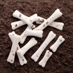 Dinosaur Bones with Match & Measuring Cards Set