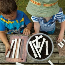 Dinosaur Bones with Match & Measuring Cards Set