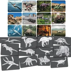 Dinosaur Picture Cards & X-Rays