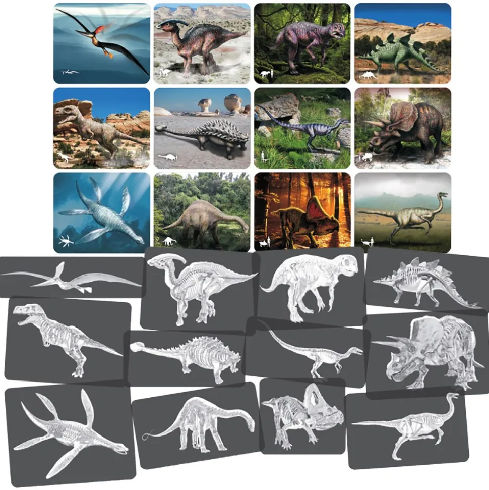 Dinosaur Picture Cards & X-Rays