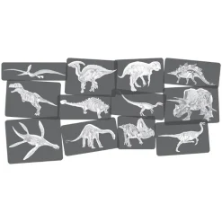 Dinosaur Picture Cards & X-Rays