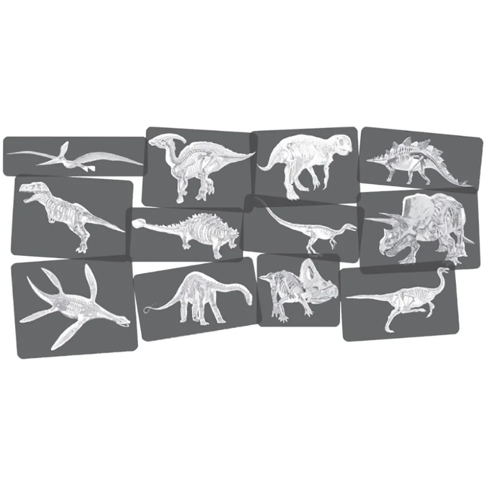 Dinosaur Picture Cards & X-Rays