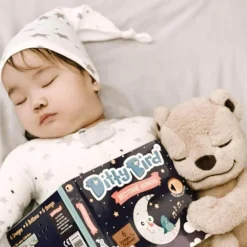 Ditty Bird Bedtime and Nursery Rhyme Song Books Set of 2