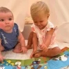 Ditty Bird Farm & Touch the Cute Animal Sound Books