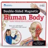 Double-Sided Magnetic Human Body
