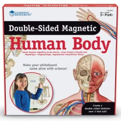 Double-Sided Magnetic Human Body
