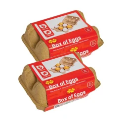 Dozen Pretend Eggs 2 Cartons of 6 Eggs