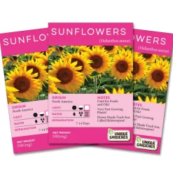 Dwarf Sunflower Seeds 3-Pack