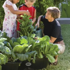 EarthBox: Ready to Grow Base Kit