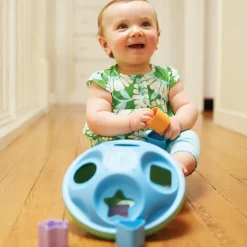Eco-Friendly Shape Sorter