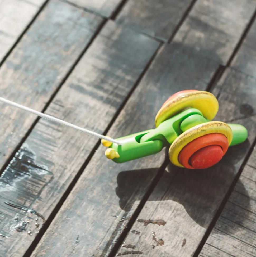 Eco-Friendly Snail Pull Toy