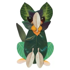 Exploring Leaves