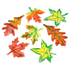 Exploring Leaves