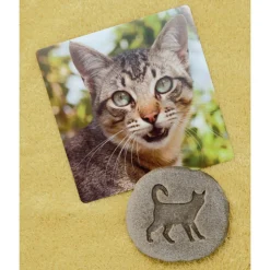Farmyard Footprints™ Stones Set of 8