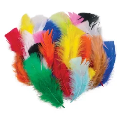 Feathers