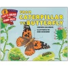From Caterpillar to Butterfly Paperback