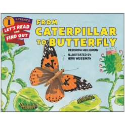 From Caterpillar to Butterfly Paperback