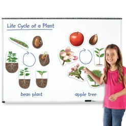 Giant Magnetic Plant Life Cycle
