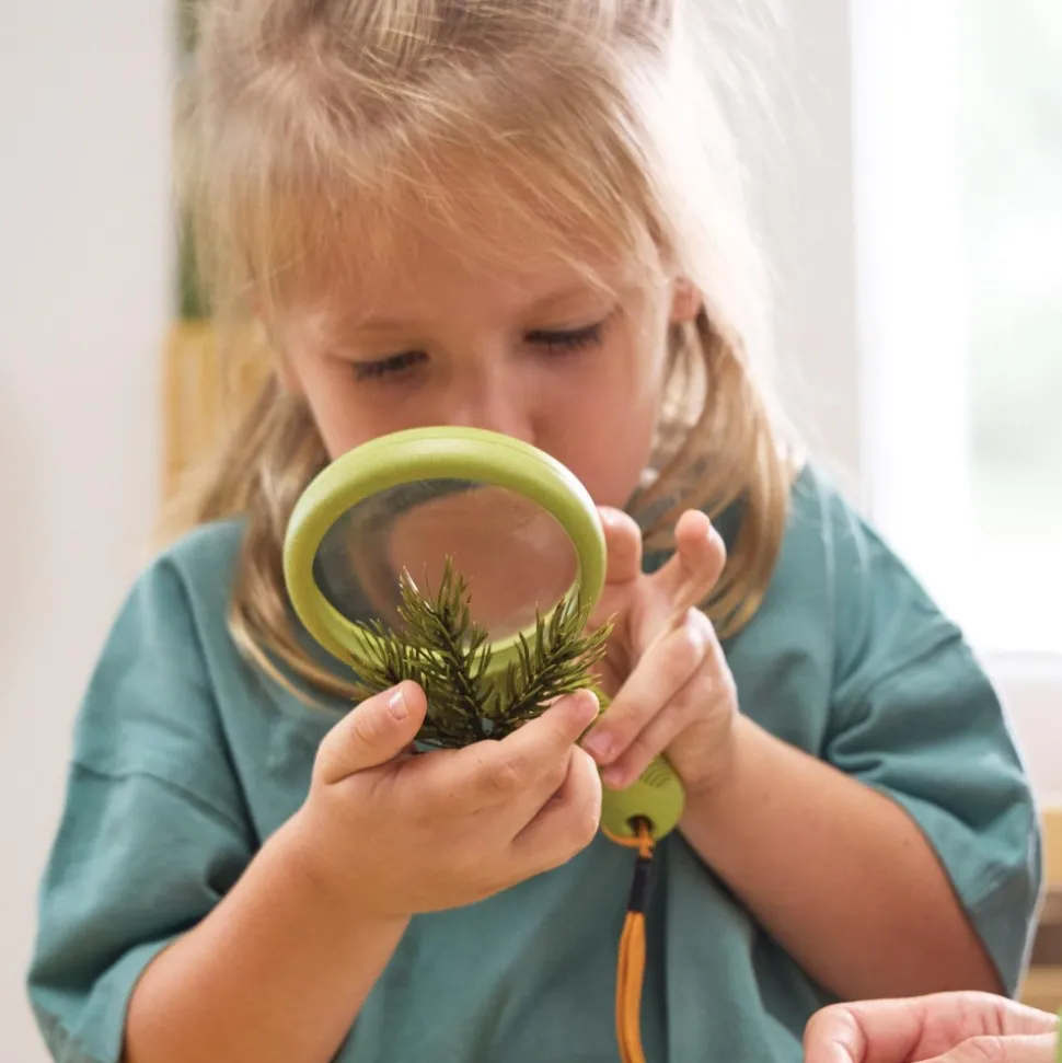 Handheld Magnifying Glass