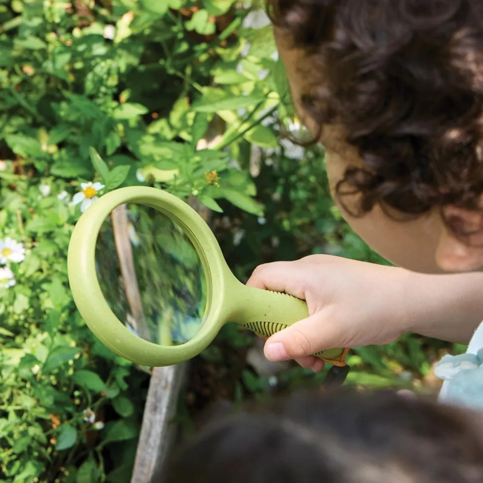 Handheld Magnifying Glass