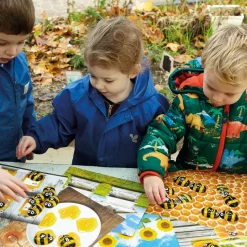 Honey Bee Stones and Activity Cards