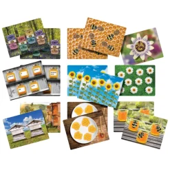 Honey Bee Stones and Activity Cards