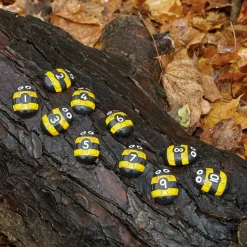 Honey Bee Stones and Activity Cards