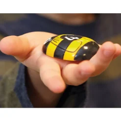 Honey Bee Stones and Activity Cards