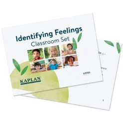 Identifying Feelings Classroom Set with Activities and Guide