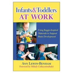 Infants & Toddlers at Work Paperback