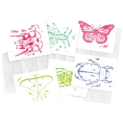 Insect Rubbing Plates Set of 16
