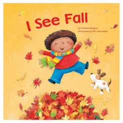 I See Seasons Books Set of 4