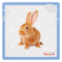 Kaplan Animal Lacing Boards