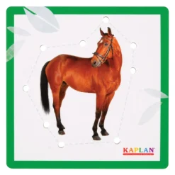 Kaplan Animal Lacing Boards