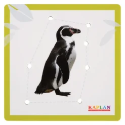 Kaplan Animal Lacing Boards
