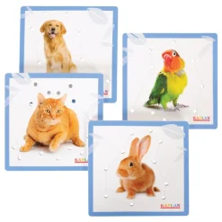 Kaplan Animal Lacing Boards