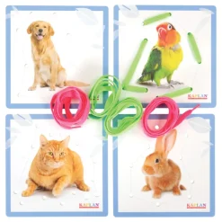 Kaplan Animal Lacing Boards