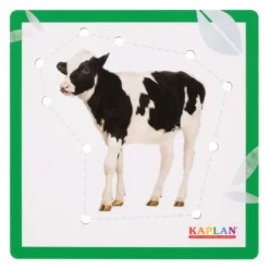 Kaplan Animal Lacing Boards