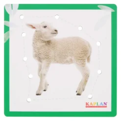 Kaplan Animal Lacing Boards