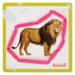 Kaplan Animal Lacing Boards