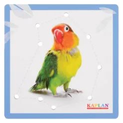 Kaplan Animal Lacing Boards