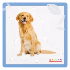 Kaplan Animal Lacing Boards