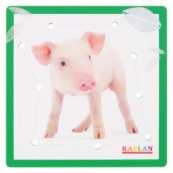 Kaplan Animal Lacing Boards
