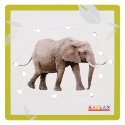 Kaplan Animal Lacing Boards