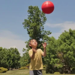 Kickball Kit