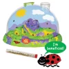 Ladybug Land with Prepaid Voucher